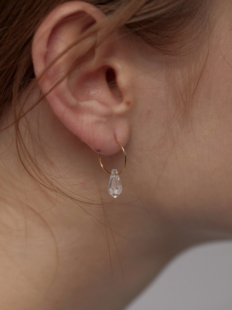 Crystal Dropped Small Ring Earrings
